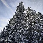 Lägenhet Apartmenthaus Kestel Kirchbach (Carinthia)