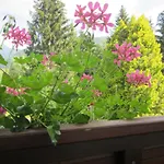 Apartmenthaus Kestel Lägenhet Kirchbach (Carinthia)