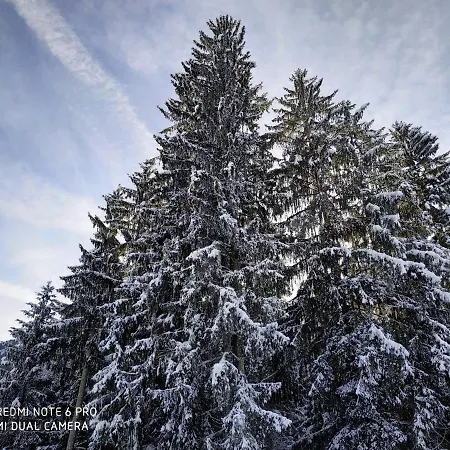 아파트 Apartmenthaus Kestel Kirchbach (Carinthia)