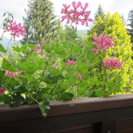 Apartmenthaus Kestel Lägenhet Kirchbach (Carinthia)