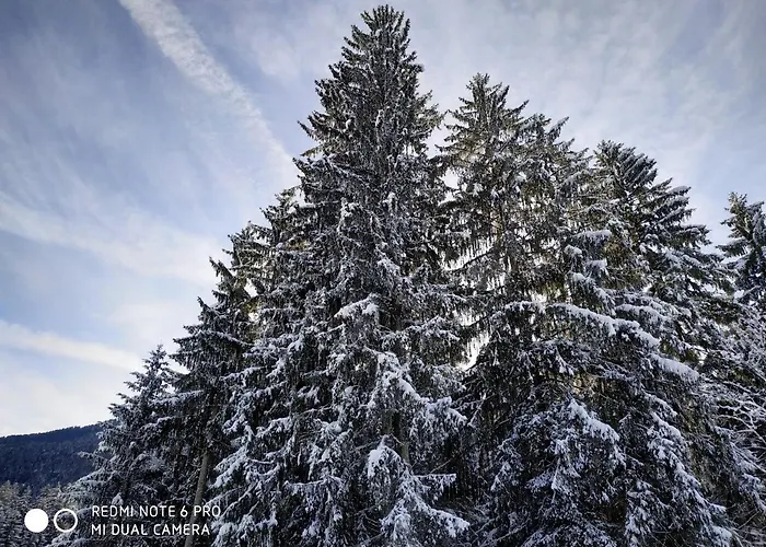 Διαμέρισμα Apartmenthaus Kestel Kirchbach (Carinthia)